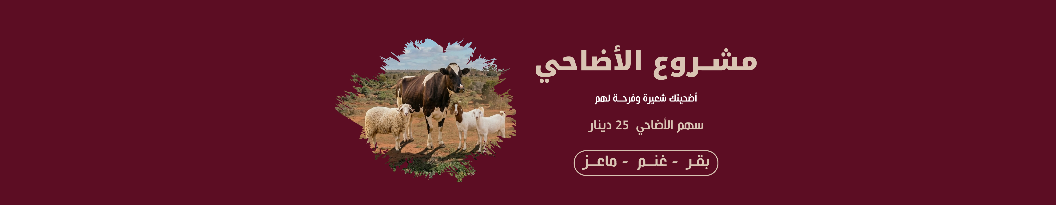 مشروع الأضاحي